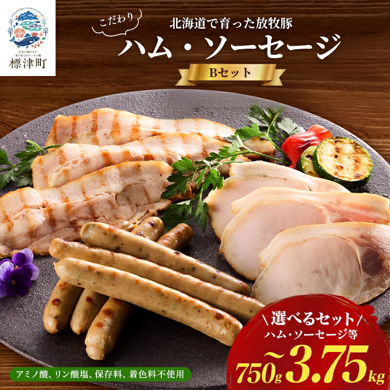【ふるさと納税】 【無添加・無着色】 北海道産 ハム ・ ソーセージ 等 詰め合わせ 5種×各1～5 国産 人気 おすすめ ギフト セット ハム ベーコン ブロック ウインナー あらびきウインナー 肉加工品 【配送不可地域：離島】