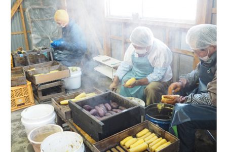 kamosの星芋セット（平干し芋400g×1 丸干し芋400g×1）紅はるか 800g 干し芋 干しいも 国産 紅はるか べにはるか さつまいも サツマイモ 平干し 丸干し おやつ お菓子 和菓子 和