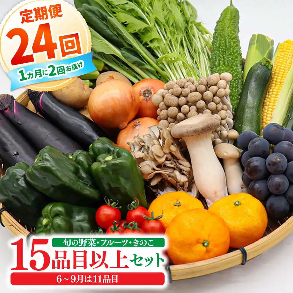 【全24回 月2回お届け】野菜定期便15品目以上 [SCZ003]