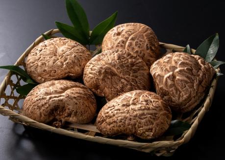 ブランド原木椎茸「霧源（MUGEN）」乾燥約150g（5～8枚）ご家庭用