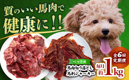 【全6回定期便】詰め合わせ 国内加工 ペット用 馬肉 切り落とし 1kg ペット用 馬刺しジャーキー 100g(50g×2) 【合同会社　長岡フーズ】[ZFR067]