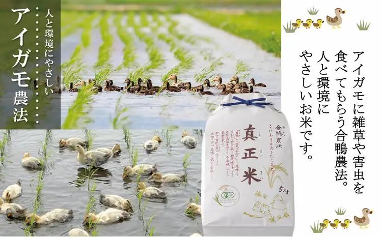 【令和7年産】有機JAS認証米あきたこまち「真正米」 5kg×1袋 90P9034【真正ファーム】
