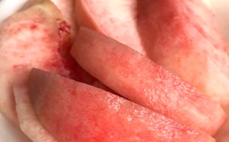 ＜先行予約＞固めの桃 おどろき 約3kg（6～8玉） F21R-880