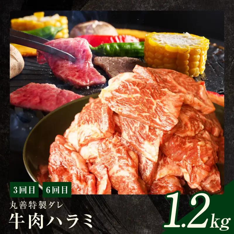 焼肉定期便 総量6.8kg（肩ロース／牛タン／牛ハラミ）全6回 丸善味わい加工【毎月配送コース】