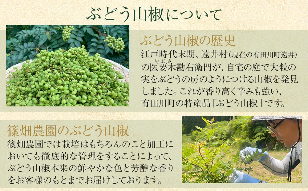 紀州ぶどう山椒【粒】 3袋  (合計21g) 篠畑農園 EW04
