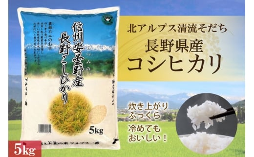 米 令和7年 長野県産 コシヒカリ 5kg（精米） [大北農業協同組合 長野県 池田町 48110835] お米 こめ ごはん 令和7年産 5キロ 精米 白米 こしひかり
