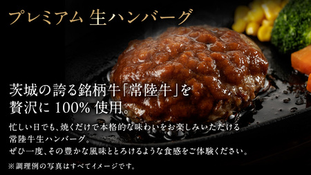 【6ケ月定期便】 常陸牛 100% プレミアム 生ハンバーグ 合計8640g（ 120g × 12個 × 6回 ） 【茨城県共通返礼品】 ハンバーグ 黒毛和牛 和牛 牛肉 肉 レトルト 冷凍 簡単 小