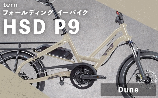 Dune ternフォールディングイーバイクHSD P920インチ