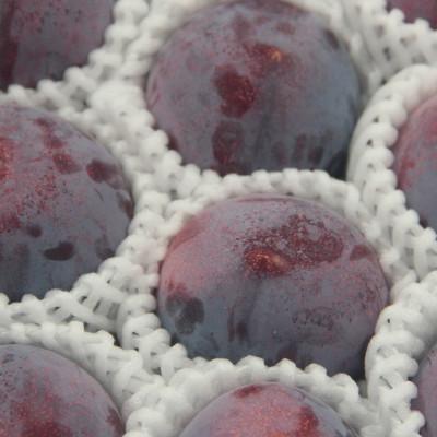 ふるさと納税 山梨市 【発送月固定定期便】フルーツ定期便全4回 |  | 02