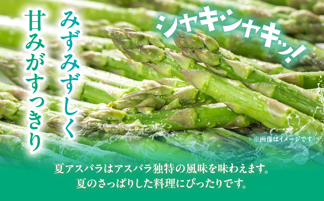 夏アスパラ2Lサイズ 約900g（150g×6袋） MKWM004