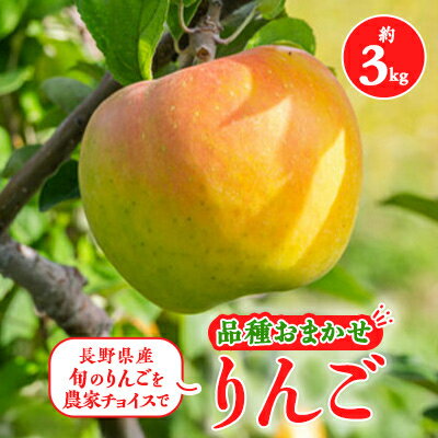 【ふるさと納税】【2025年】信州のりんご　品種おまかせ　約3kg_ りんご リンゴ 林檎 信州産 品種おまかせ おまかせ 約3kg 長野 長野県 果物 くだもの フルーツ デザート おやつ 果実 青果 国産 産直 産地直送 贈答 ギフト プレゼント 送料無料 【1492471】