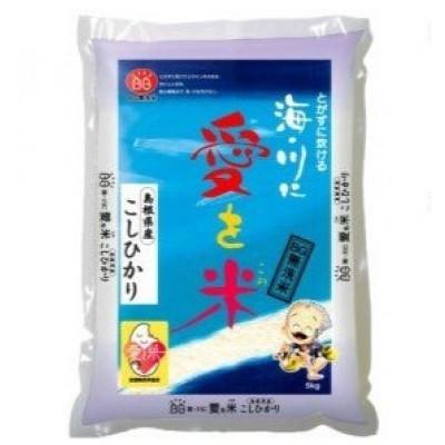 ふるさと納税 安来市 BG無洗米コシヒカリ　5kg