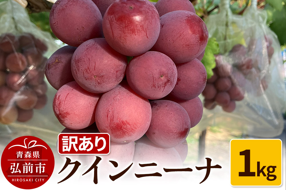 【26年9月〜発送】 【訳あり】 クインニーナ 1kg【先行受付】 ぶどう フルーツ 果物 ブドウ 葡萄 グレープ くだもの 産地直送 [おいしい グレープ ぶどう フルーツ 果実 果物 美味 葡萄]