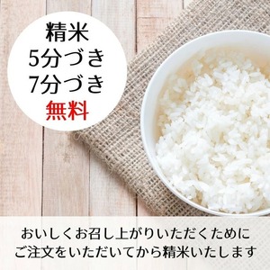 【令和7年産】きぬひかり 玄米 5kg 玄米