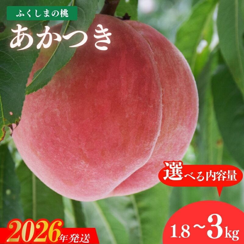 【ふるさと納税】古井果樹園 もも「あかつき」約1.8kg 約3kg【2026年発送　先行予約】