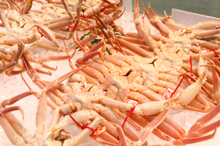 鳥取県産 タグ付き松葉ガニ 特大