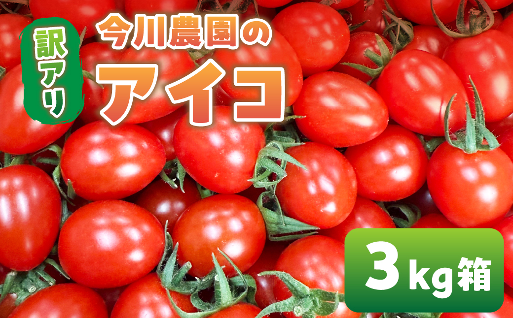 【ふるさと納税】【先行予約】今川農園のミニトマト 訳ありアイコ 3kg 先行予約受付 期間限定 季節限定 野菜 国産 完熟 やさい フルーツ トマト 完熟 千果 ミニトマト イエロー プチトマト イエ