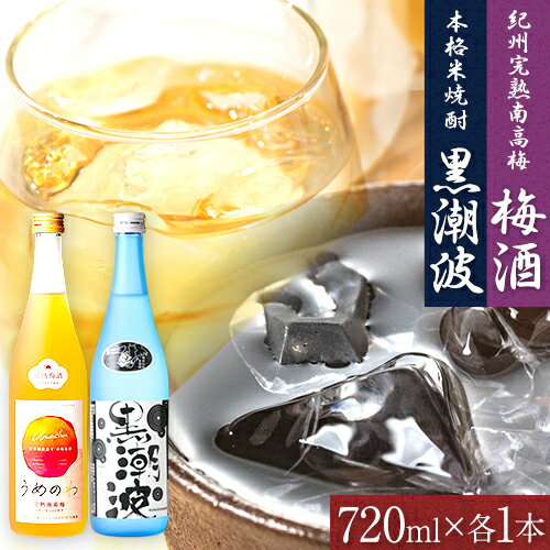 【ふるさと納税】本格米焼酎 黒潮波 （くろしおなみ） と 紀州完熟南高梅 梅酒 720ml×各1本 2本セット 厳選館《90日以内に出荷予定(土日祝除く)》 和歌山県 日高町 酒 梅酒 焼酎 米焼酎 果実酒