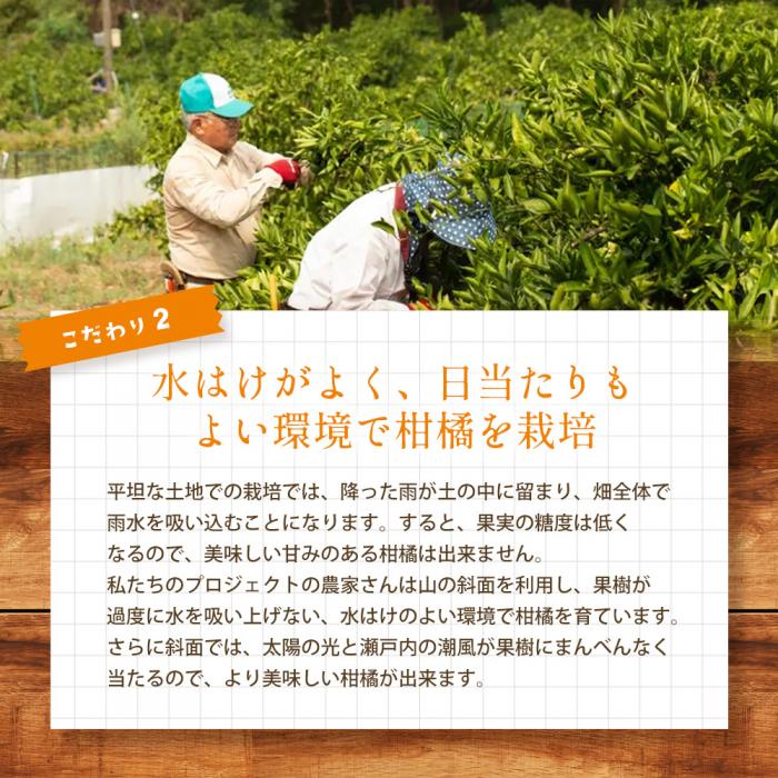 みかん 柑橘【先行受付】【2025年10月中旬以降発送】 甘さと酸味が絶妙！極早生 みかん 約2.5kg 三原 佐木島 017038