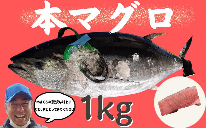 
                  【本まぐろの贅沢な味わい】本マグロ　1kg  本マグロ 本まぐろ まぐろ マグロ 刺身 さし身 赤身 トロ 寿司ネタ 海鮮 海の幸 魚介 ギフト 贈答用 兵庫県
                