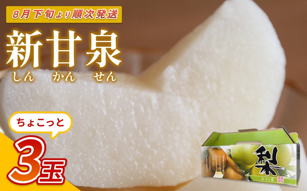 
                  【先行予約】中野農園 梨 ”新甘泉” 3玉入り｜鳥取 岩美 梨 なし ナシ  赤梨 果物 フルーツ 常温 ※お届けは2026年8月下旬以降【41019】
                