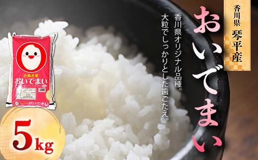 
                  令和7年度産 新米 香川県琴平産おいでまい 5kg 米 精米 さぬき米 セット ギフト 贈り物 四国 F5J-1315
                