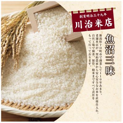 ふるさと納税 十日町市 【令和6年産】魚沼産コシヒカリ 「魚沼三昧(R)」5kg×1袋 新潟県十日町市 |  | 01