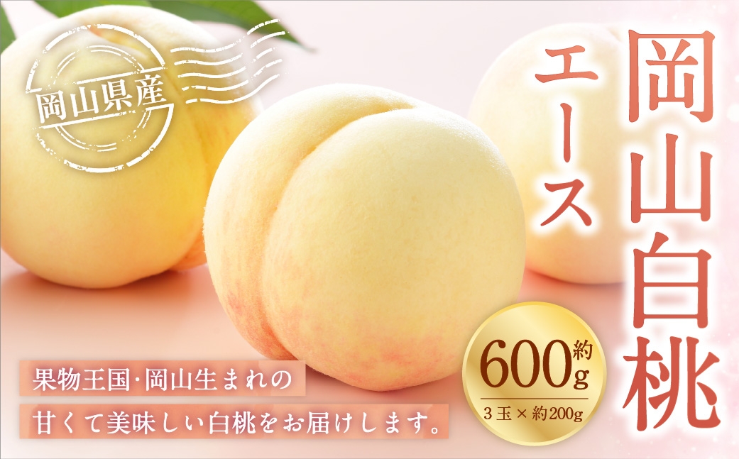 
                  岡山白桃 エース 3玉×約200g （ Lサイズ ） 岡山県産 白桃 桃 もも モモ くだもの 果物 果実 フルーツ 国産 ギフト 贈り物 【 2026年7月上旬～8月下旬発送予定 】
                