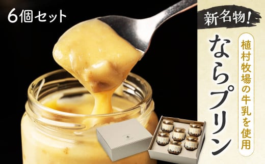 新しい新名物！ならプリン誕生！６個セット 濃厚 プリン スイーツ プリン なめらか プリン 食べ比べ プリン 奈良 プリン 洋菓子 こだわり プリン 土産 プリン 冷蔵 プリン 贈り物 プリン こだわり スイーツ プレーン プリン 奈良 スイーツ  8-007