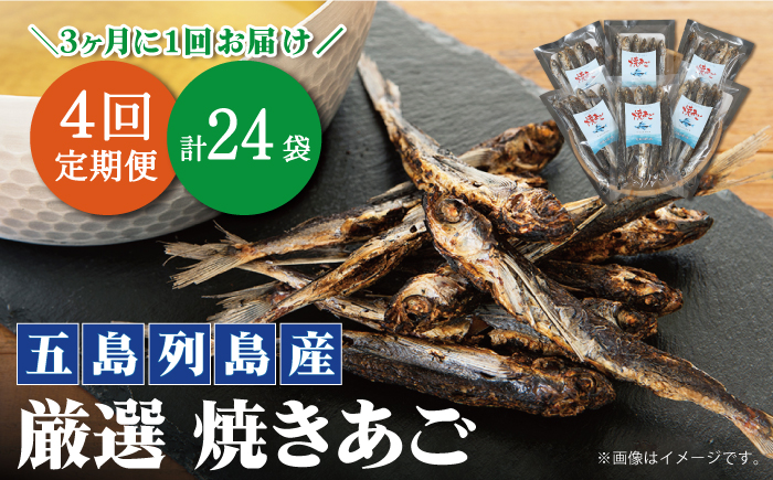 【年4回定期便】3ヶ月に1回お届け！ 厳選 焼きあご 100g×6袋 調味料 だし 【新魚目町漁業協同組合】 [RBC006]