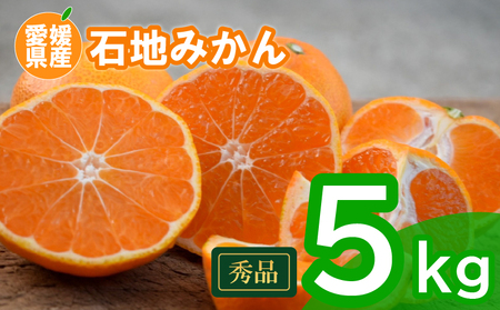 【先行予約】 瀬戸内海の島みかん (秀品)【石地みかん】約5kg | みかんみかんみかんみかんみかん 【KK3271】