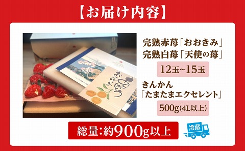 《2026年発送》【数量・期間限定】宮崎冬物語HOKUSAIGIFT紅白苺＋たまたまエクセレント 苺 いちご イチゴ おおきみ苺 おおきみいちご 白イチゴ 白苺 白いちご きんかん キンカン エクセレ