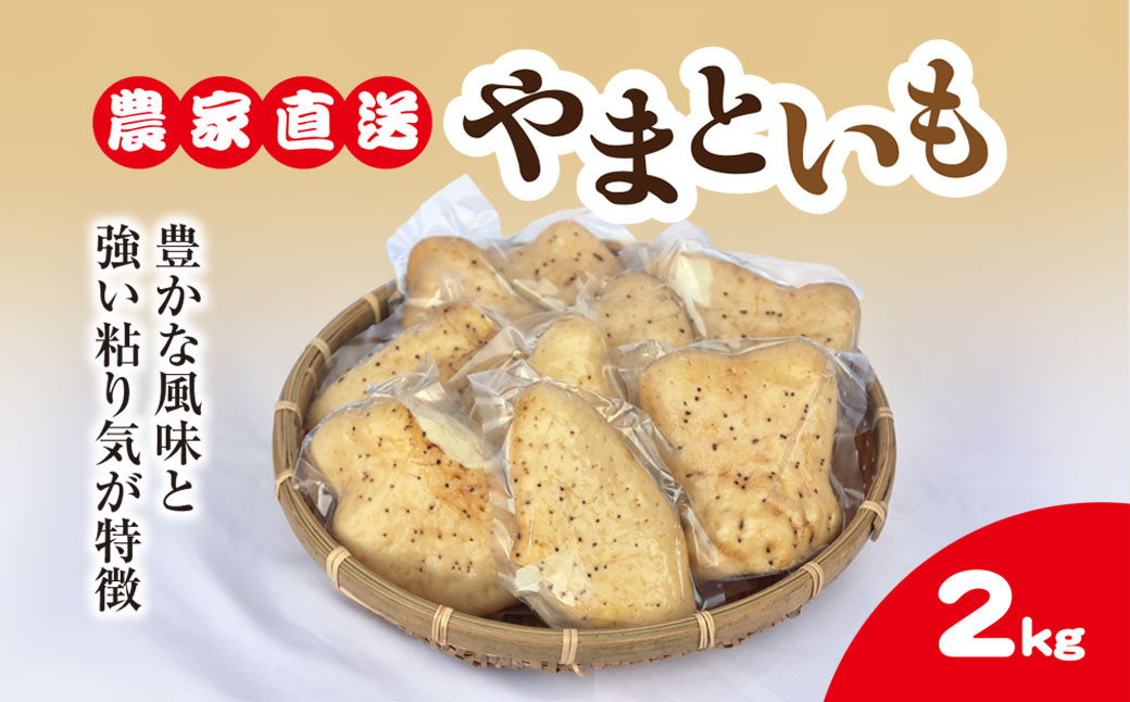 
                  農家直送! 直売所でも大人気! 豊かな風味と強い粘り気が特徴! 大和芋（やまといも）2kg 真空パック包装　ふるさと納税 やまといも ヤマトイモ 大和芋 芋 山芋 長芋 きめ 粘り とろろ汁 麦とろ やまかけ 農家直送 千葉県 山武市 SMCH001
                