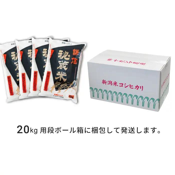 謙信秘蔵米 コシヒカリ 20kg 真空冬眠パック コシヒカリ