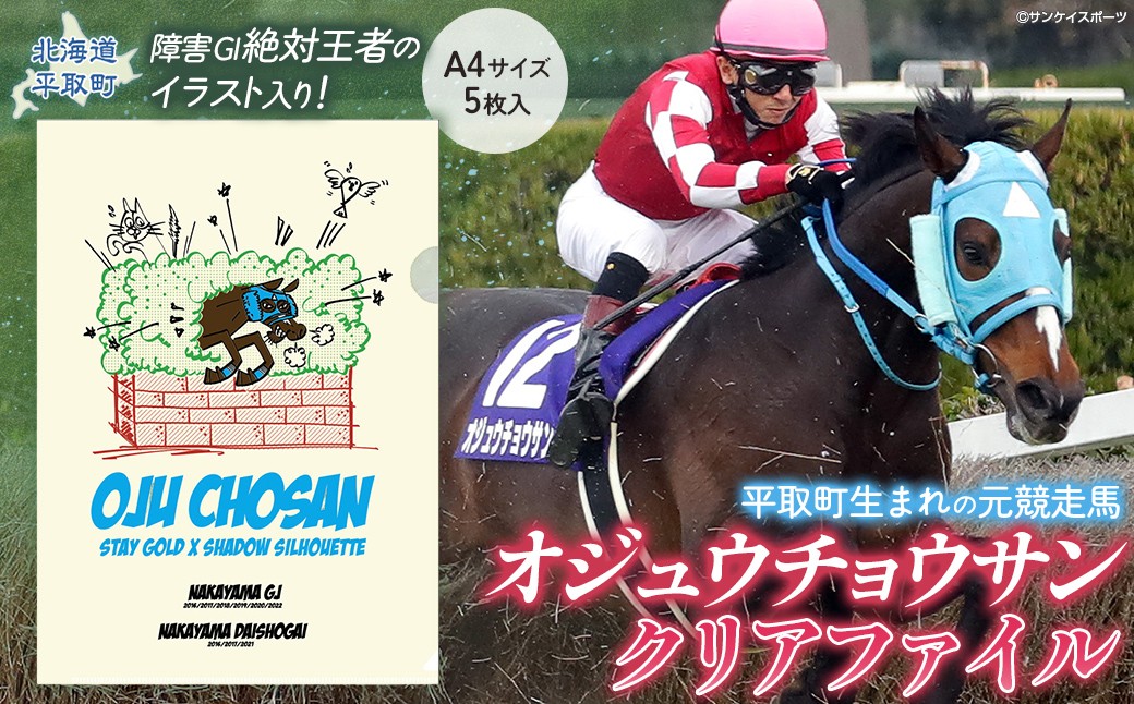 
                  【オジュウチョウサン】クリアファイル イラスト5枚入り【ふるさと納税 人気 おすすめ ランキング 馬 競馬 競走馬 オジュウチョウサン グッズ 北海道 平取町 びらとり 送料無料】 BRTV017
                