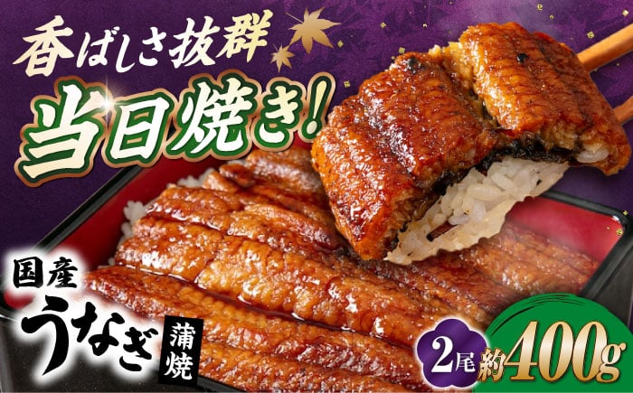 
            国産活うなぎ2尾（蒲焼） 滋賀県長浜市/株式会社魚三 [AQDF007]
          