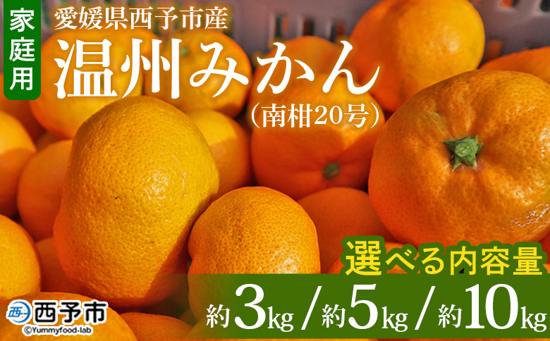 
            先行予約 ＜愛媛県西予市産 温州みかん（南柑20号）家庭用 約3kg／5kg／10kg（サイズ不揃い・小傷あり）＞ 訳あり  果物 くだもの ミカン 柑橘 フルーツ 食べて応援 特産品 段畑みかん 愛媛県 西予市【常温】
          