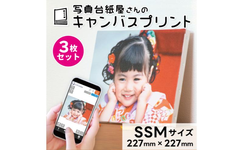 キャンバスプリント SSMサイズ 3枚セット フォト 写真 パネル オーダー 印刷 アート ファブリックパネル インテリア