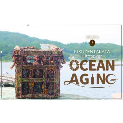 ふるさと納税 陸前高田市 海中 熟成 珈琲豆 飲みくらべ セット 〈焙煎コーヒー豆45g 熟成/熟成なし 各1瓶 〉 コーヒー |  | 02