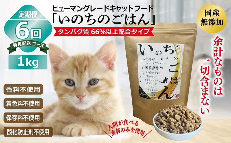 099Z334 【定期便】国産無添加 キャットフード 1kg×全6回「いのちのごはん」タンパク質 66％以上配合タイプ【猫 ねこ ペットフード チキン 手作り ヒューマングレード 国産 毎月配送】