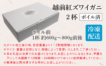 【数量・期間限定】福井県産 越前 紅ズワイガニ ×2杯【急速冷凍】（プロトン凍結）