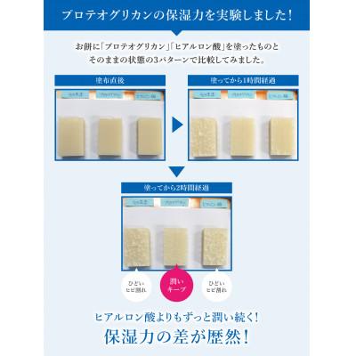 ふるさと納税 東大阪市 【3本セット】そのまま!プロテオグリカン ローション 200ml 化粧水 スキンケア |  | 02