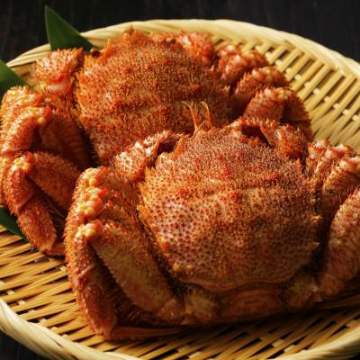 ふるさと納税 枝幸町 漁獲量日本一 枝幸毛がに 2尾セット(約800g×2尾) 北海道枝幸町産 |  | 01