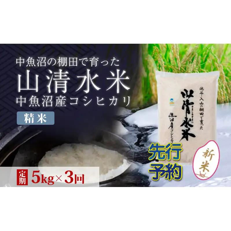 【令和8年産 先行予約】【定期便／全3回】精米5kg 新潟県魚沼産コシヒカリ「山清水米」