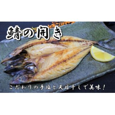 ふるさと納税 錦江町 一代目から続く製法!大満足の旬の干物セット (No.1084-1) |  | 01