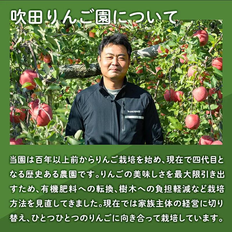 りんご 山の完熟サンふじ 約3kg   [hi-0010-009]