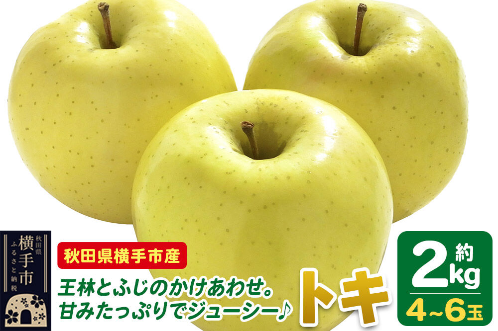 【先行受付 9月下旬より発送】りんご トキ 約2kg（4～6玉） [先行予約 トキ りんご アップル おいしい 果実 果物 黄色 美味 林檎]