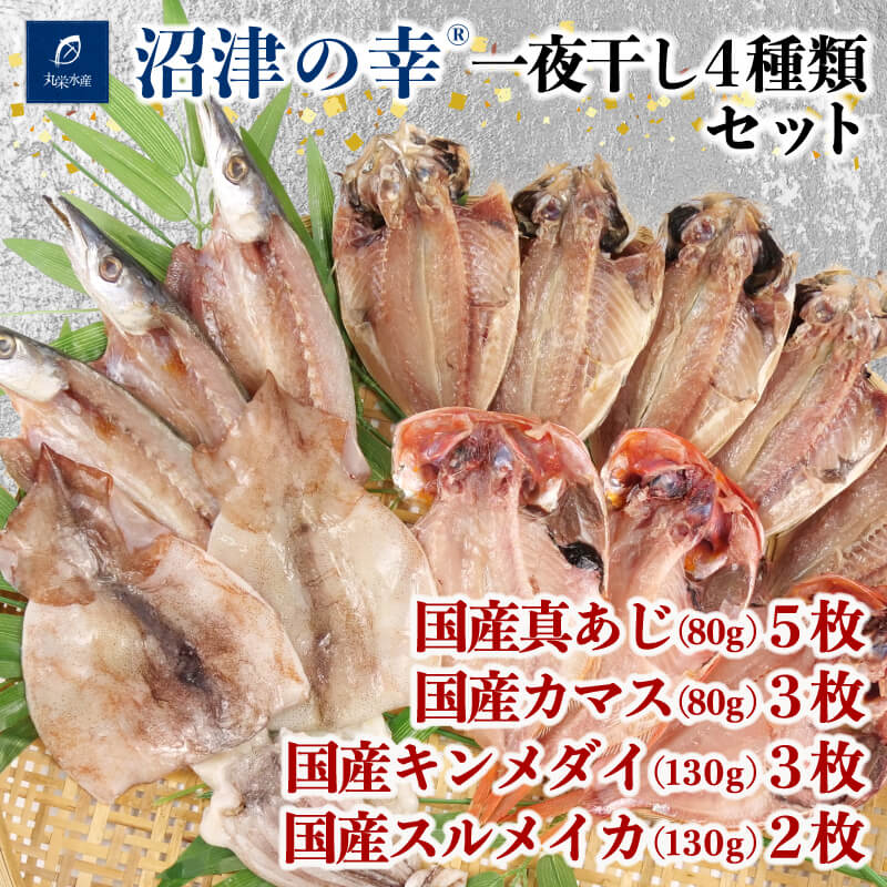【ふるさと納税】 干物 魚 一夜干し 沼津の幸 真あじ 金目鯛 かます イカ 4種類 セット 真鯵 キンメダイ G 海産物 水産加工品 詰め合わせ ギフト 贈り物 おつまみ 酒の肴 朝食 おかず 惣菜 保存食 国産 高級魚 沼津市 静岡県