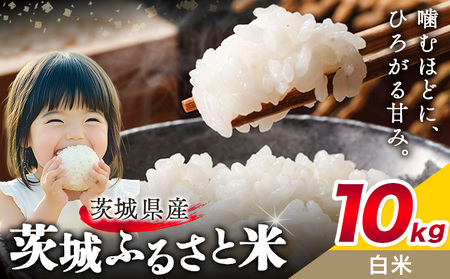 米10kg白米《7-14日以内に出荷予定(土日祝除く)》おこめ