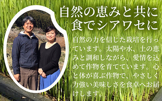 【ふっくら艶やかな粒】自然栽培米5kg 夢しずく(白米) 3袋 精白米 つやごはん 粒立ち良好 もちもち食感 甘みご飯 おにぎり適性 冷めても美味しいご飯 炊飯食材 厳選米穀 国産米